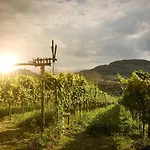 Hotel Winzerhotel Am Gut Moser