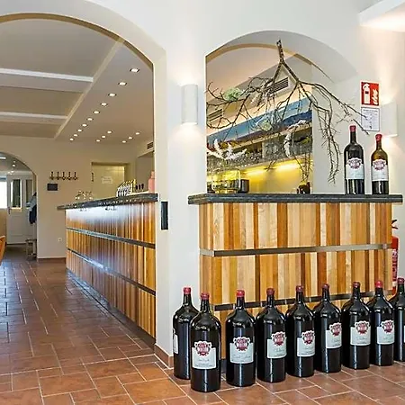 Winzerhotel Am Gut Moser 4*