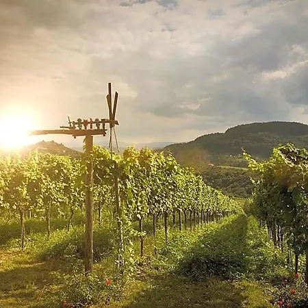 Winzerhotel Am Gut Moser
