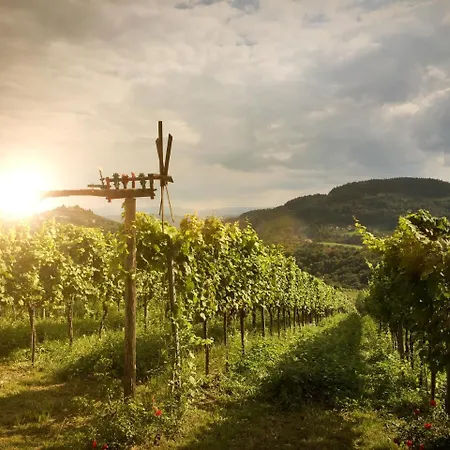 Hotel Winzerhotel Am Gut Moser