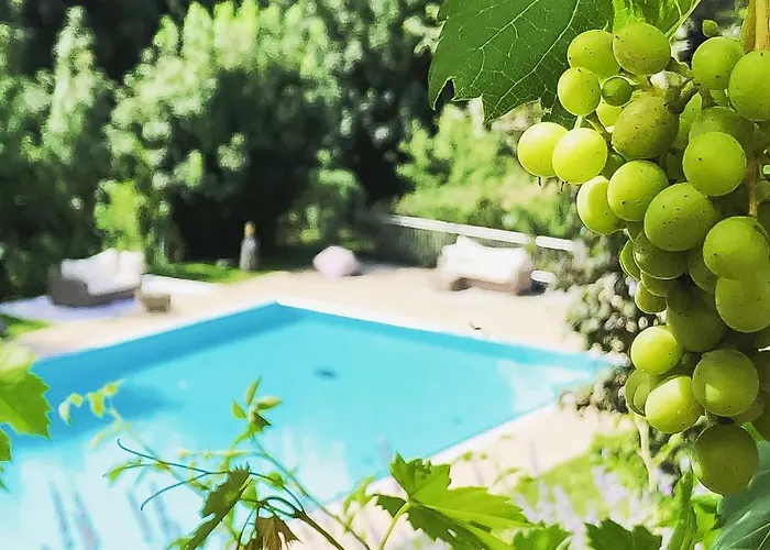 Winzerhotel Am Gut Moser ليوتسشاخ