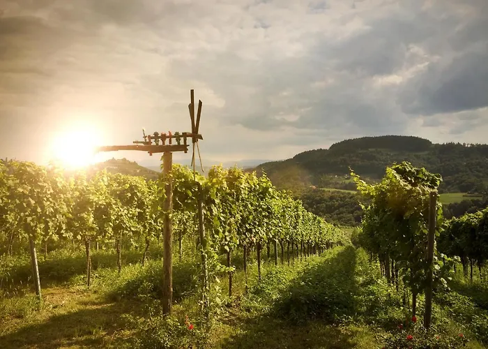 فندق Winzerhotel Am Gut Moser